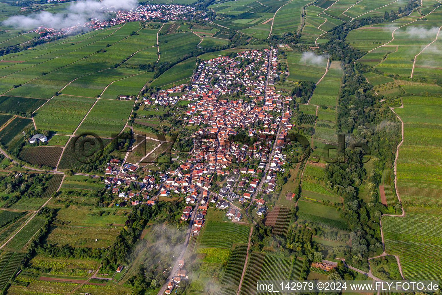 Ortschaft von Osten am Morgen unter Wolken im Ortsteil Arzheim in Landau in der Pfalz im Bundesland Rheinland-Pfalz, Deutschland