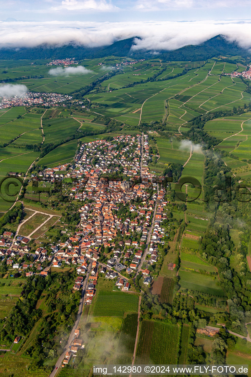 Luftbild von Ortschaft von Osten am Morgen unter Wolken im Ortsteil Arzheim in Landau in der Pfalz im Bundesland Rheinland-Pfalz, Deutschland