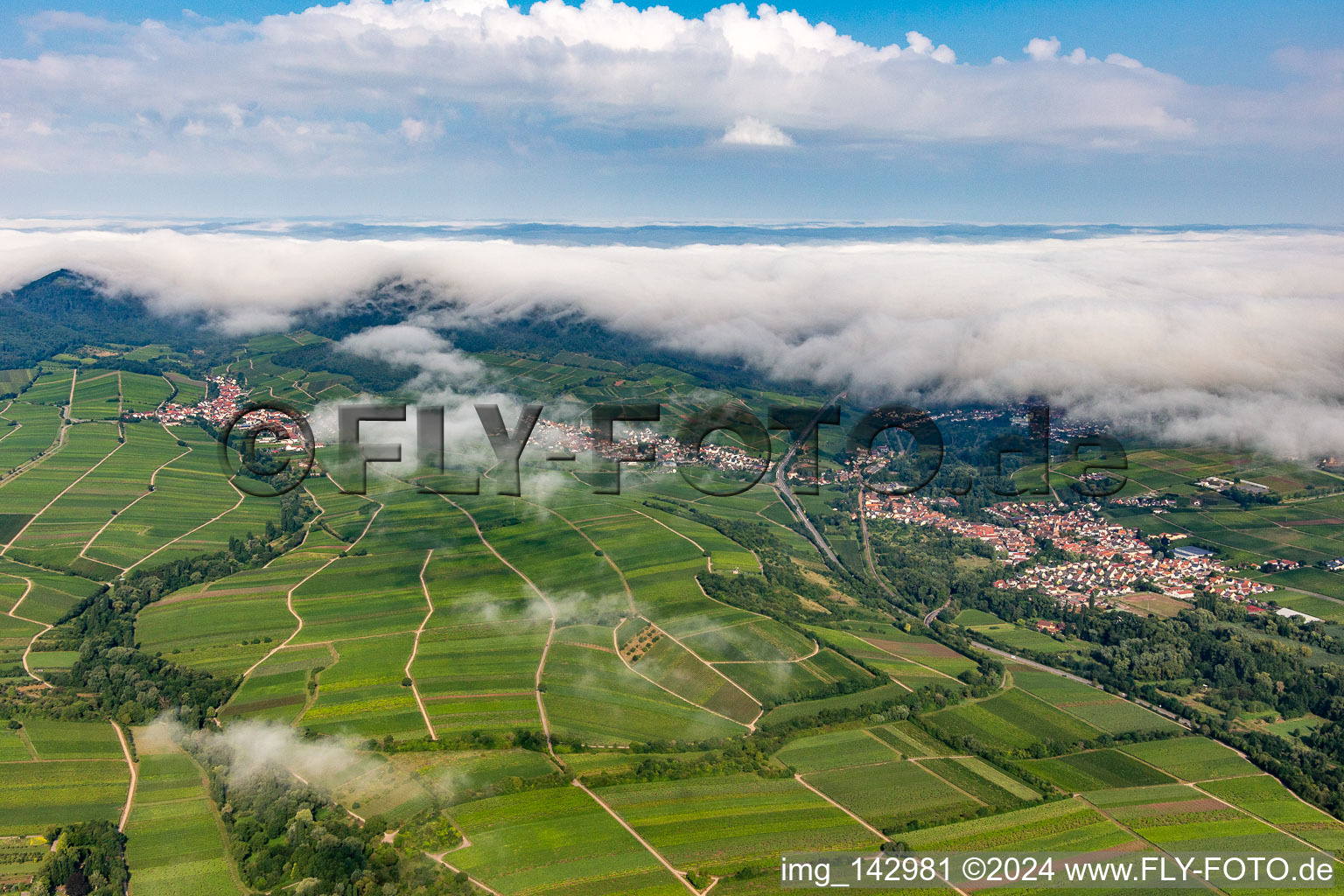 Weinberge am Rande des von Wolken verhangenen Pflälzerwalds zwischen Arzheim, Birkweiler und Ranschbach im Bundesland Rheinland-Pfalz, Deutschland