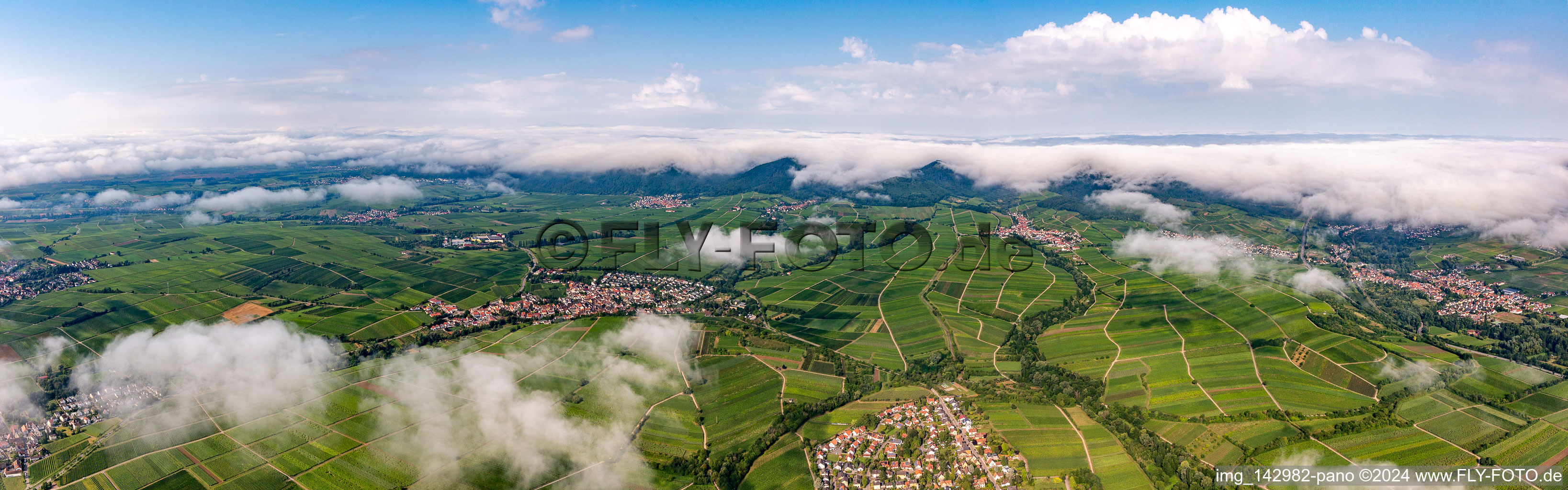 Weinberge von der kleinen Kalmit bis zum Rand des von Wolken verhangenen Pflälzerwalds zwischen Siebeldingen, Arzheim, Ilbeshheim und Eschbach im Ortsteil Ilbesheim in Ilbesheim bei Landau in der Pfalz im Bundesland Rheinland-Pfalz, Deutschland