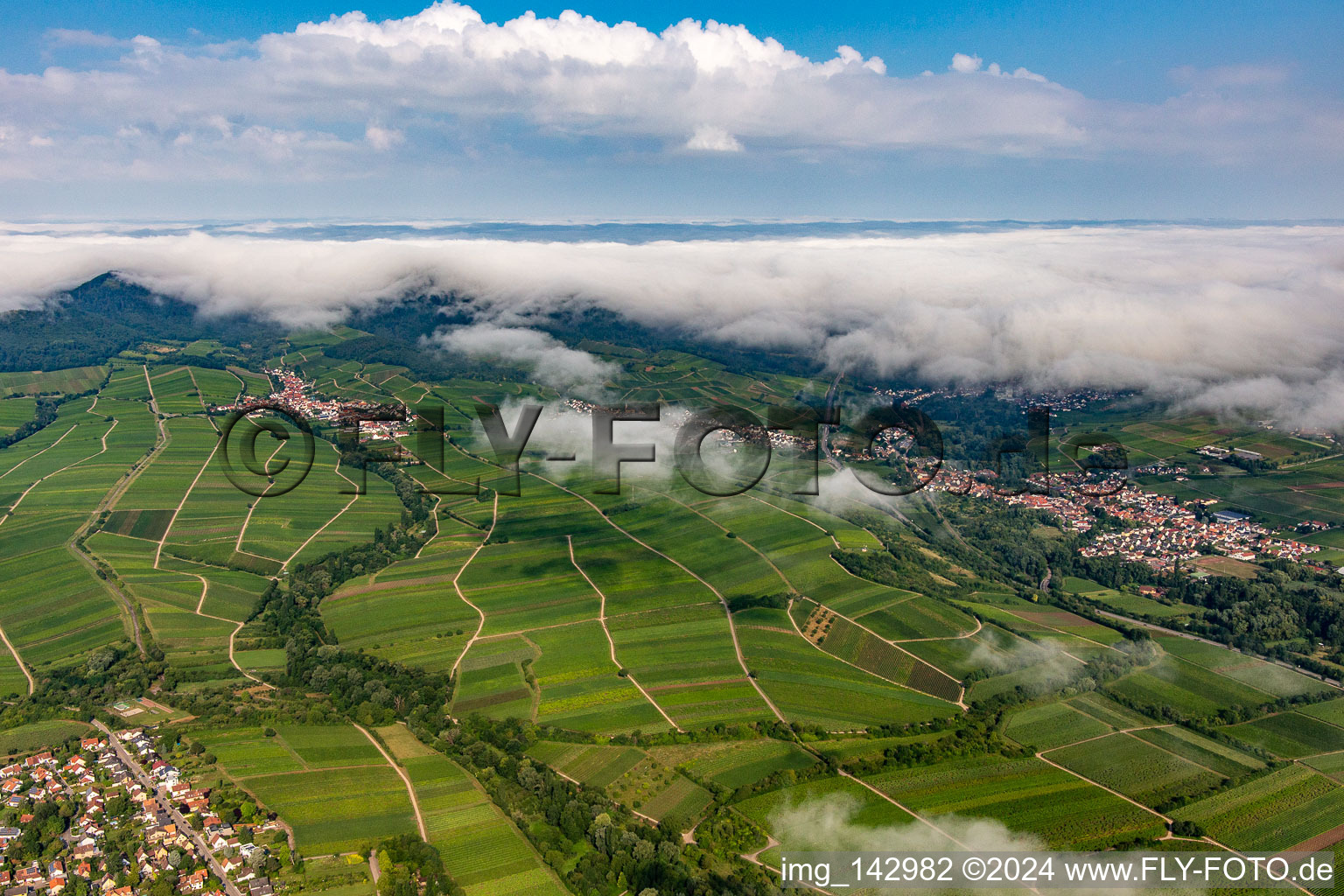 Weinberge am Rande des von Wolken verhangenen Pflälzerwalds zwischen Arzheim, Birkweiler und Ranschbach in Landau in der Pfalz im Bundesland Rheinland-Pfalz, Deutschland