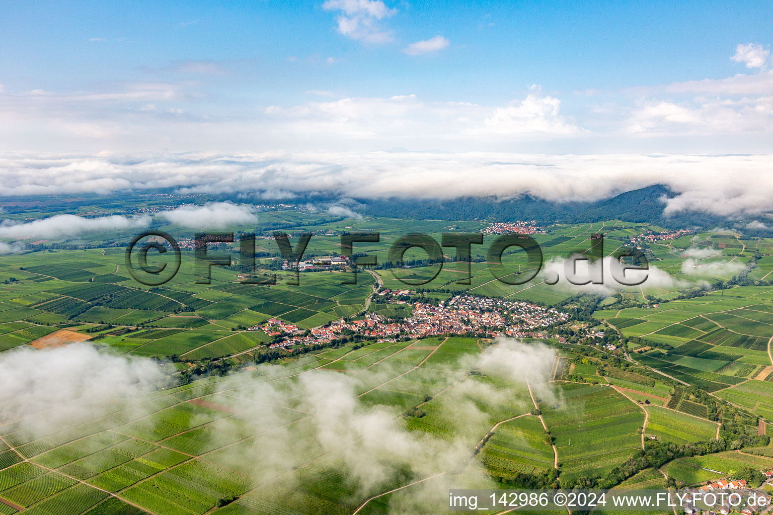 Weinberge der kleinen Kalmit am Rande des von Wolken verhangenen Pflälzerwalds zwischen Arzheim, Ilbeshheim und Eschbach im Ortsteil Ilbesheim in Ilbesheim bei Landau in der Pfalz im Bundesland Rheinland-Pfalz, Deutschland