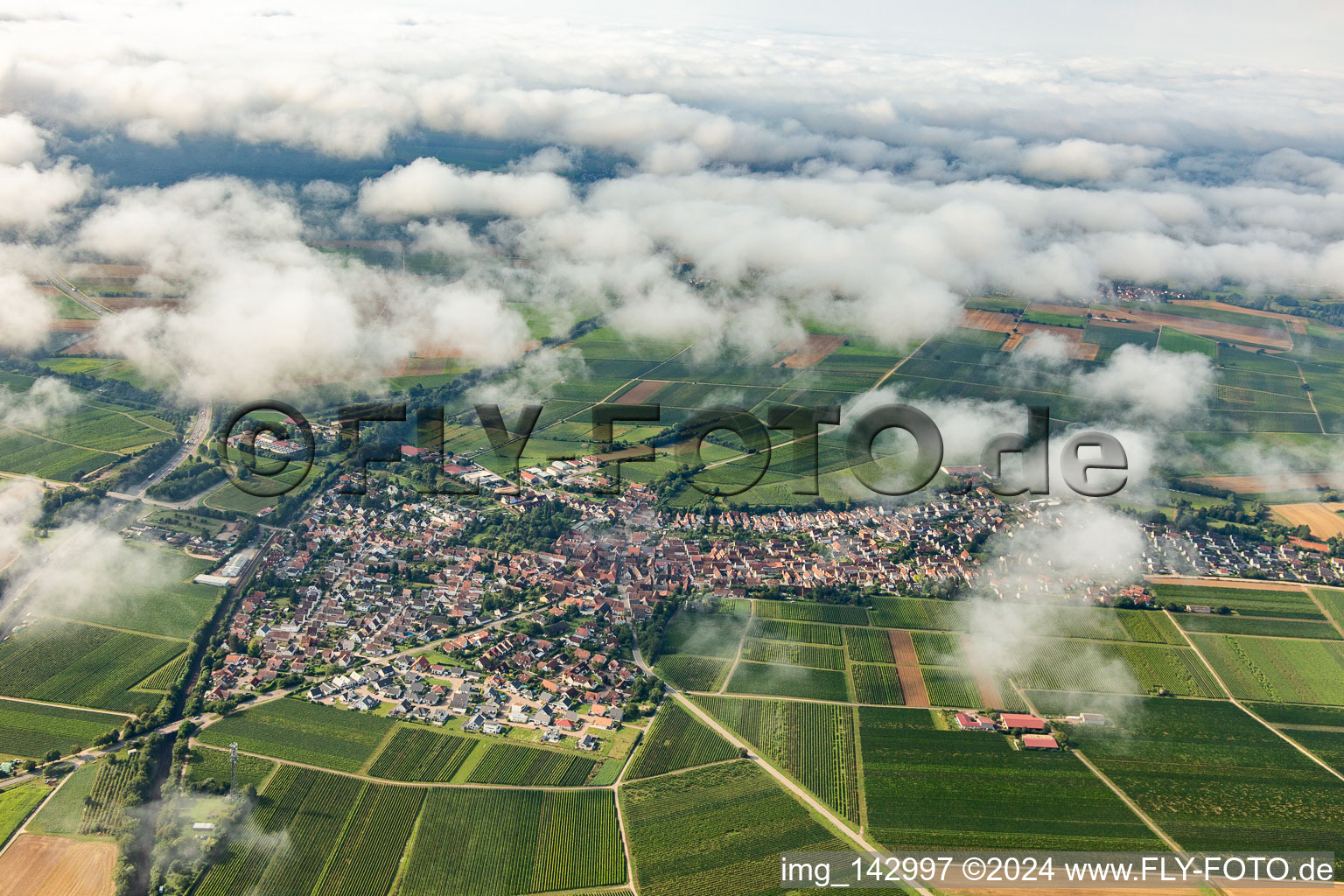 Ortschaft unter Wolken von Norden in Insheim im Bundesland Rheinland-Pfalz, Deutschland