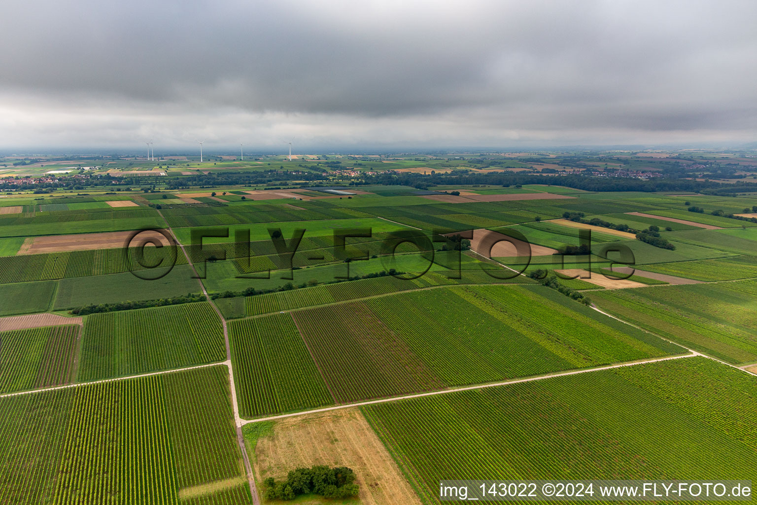 Teifen Tal unter niedriger Wolkendecke im Ortsteil Mühlhofen in Billigheim-Ingenheim im Bundesland Rheinland-Pfalz, Deutschland