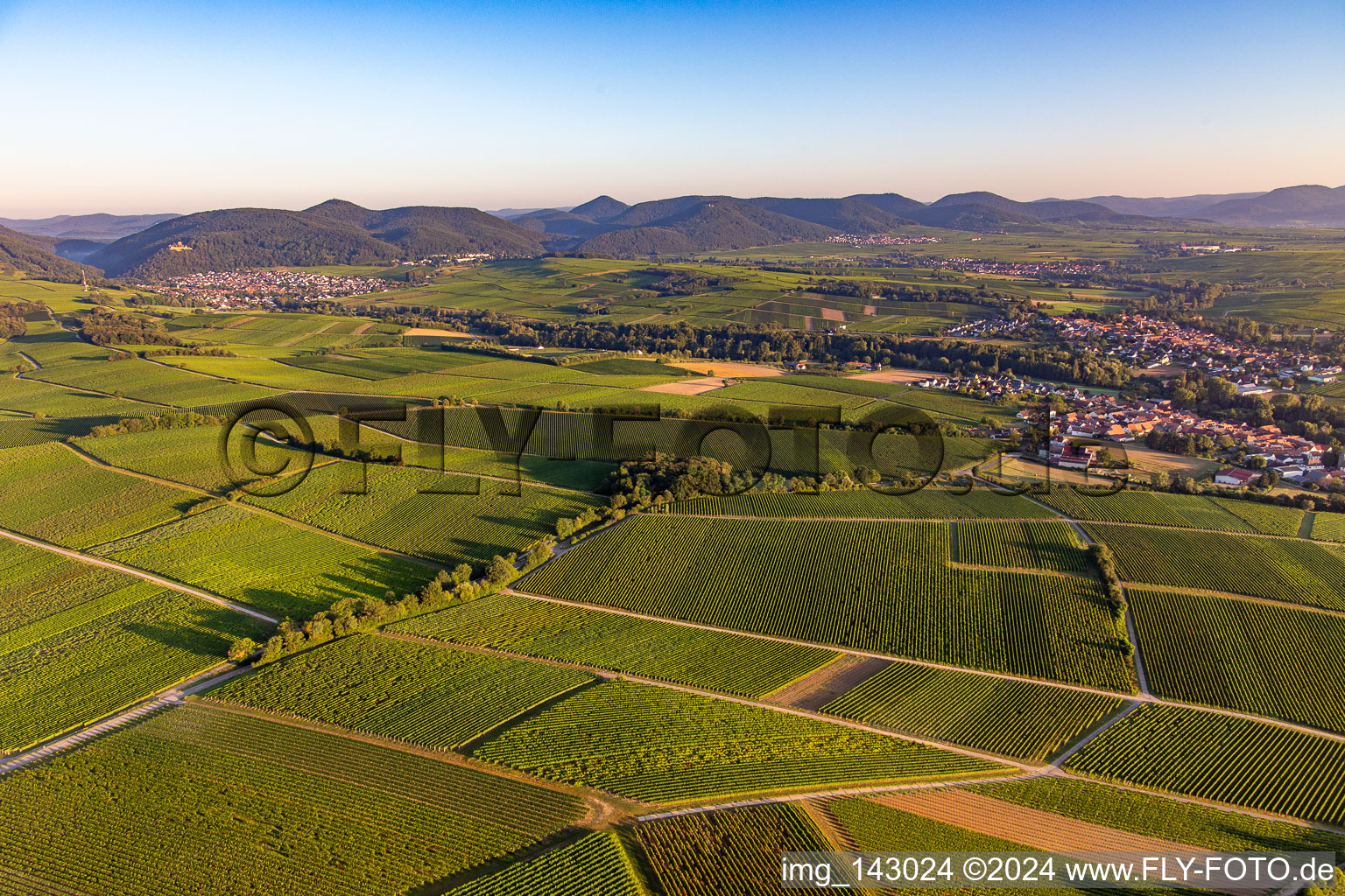 Weinberge überall im Klingbachtal zwischen Klingenmünster und Klingen in Heuchelheim-Klingen im Bundesland Rheinland-Pfalz, Deutschland