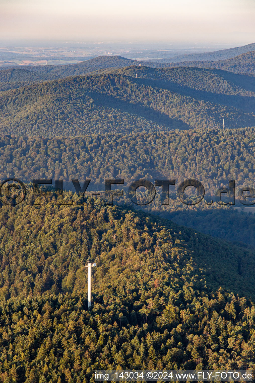 Stäffelbergturm von Norden in Dörrenbach im Bundesland Rheinland-Pfalz, Deutschland