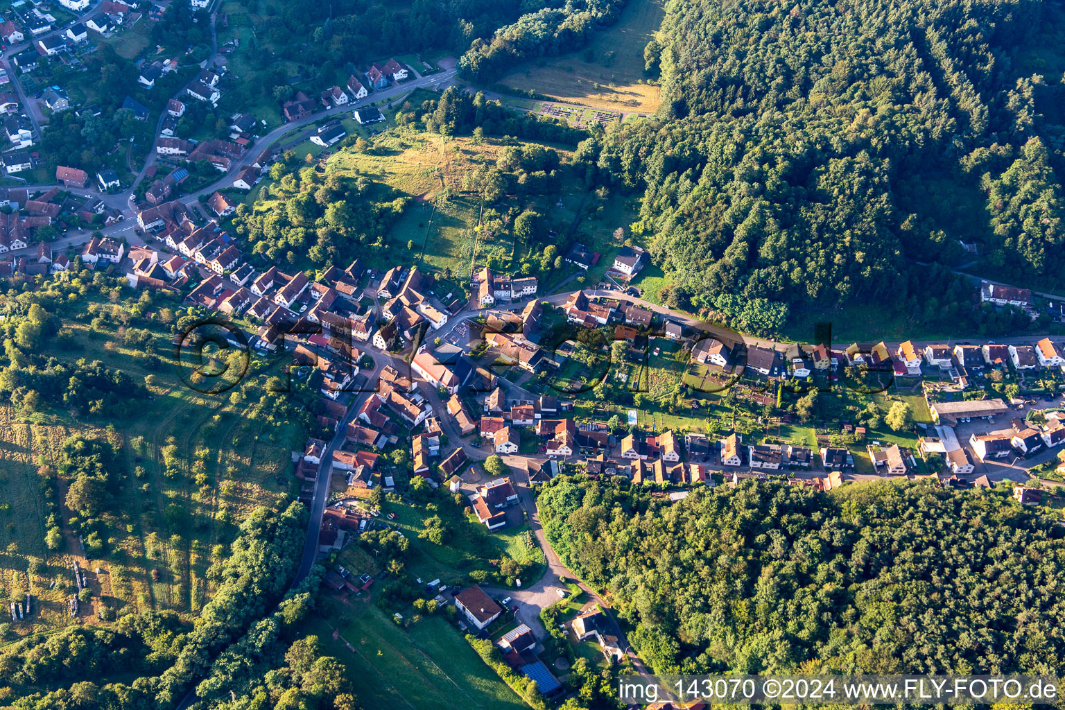 Schwanheim im Bundesland Rheinland-Pfalz, Deutschland von einer Drohne aus