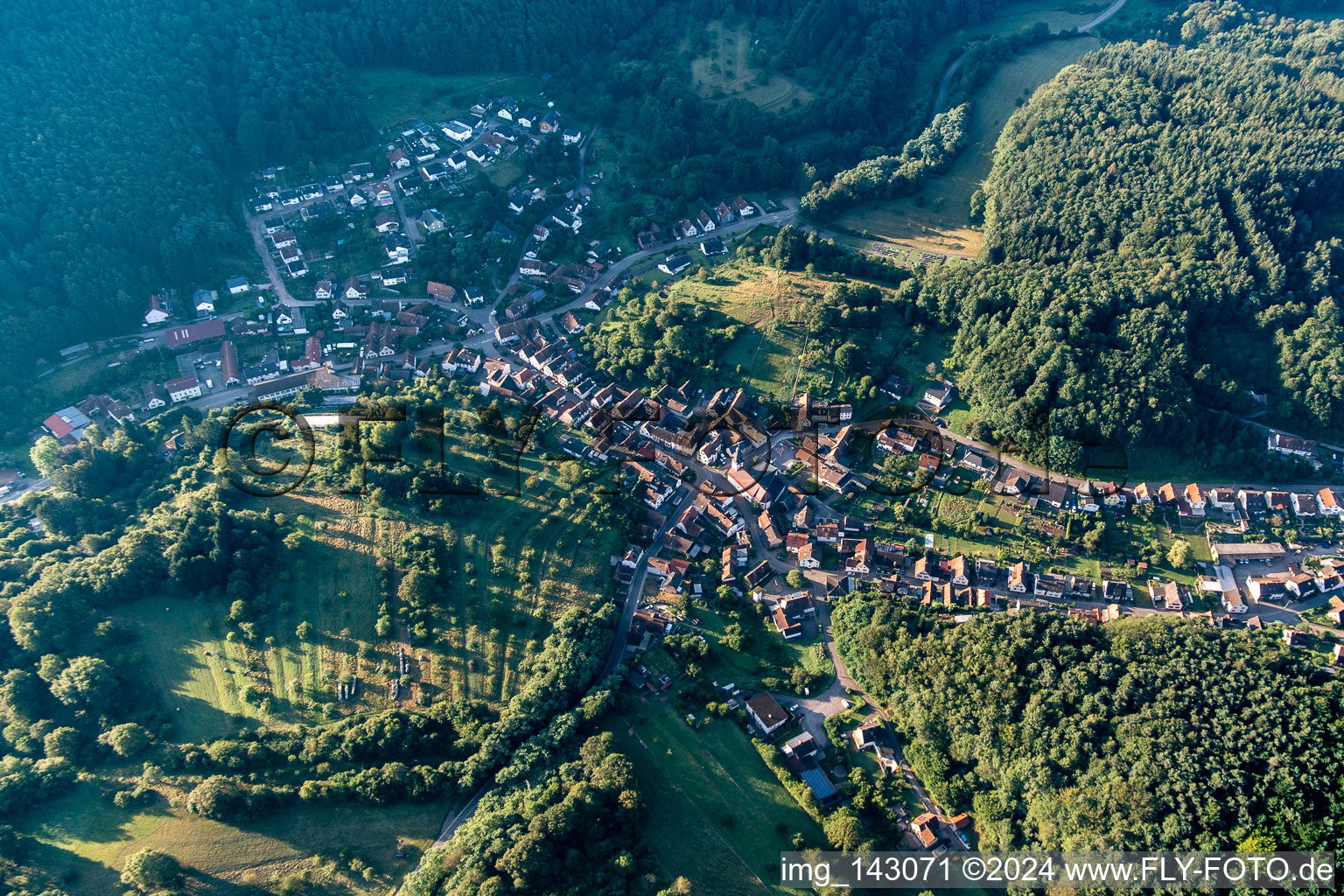 Schwanheim im Bundesland Rheinland-Pfalz, Deutschland von der Drohne aus gesehen