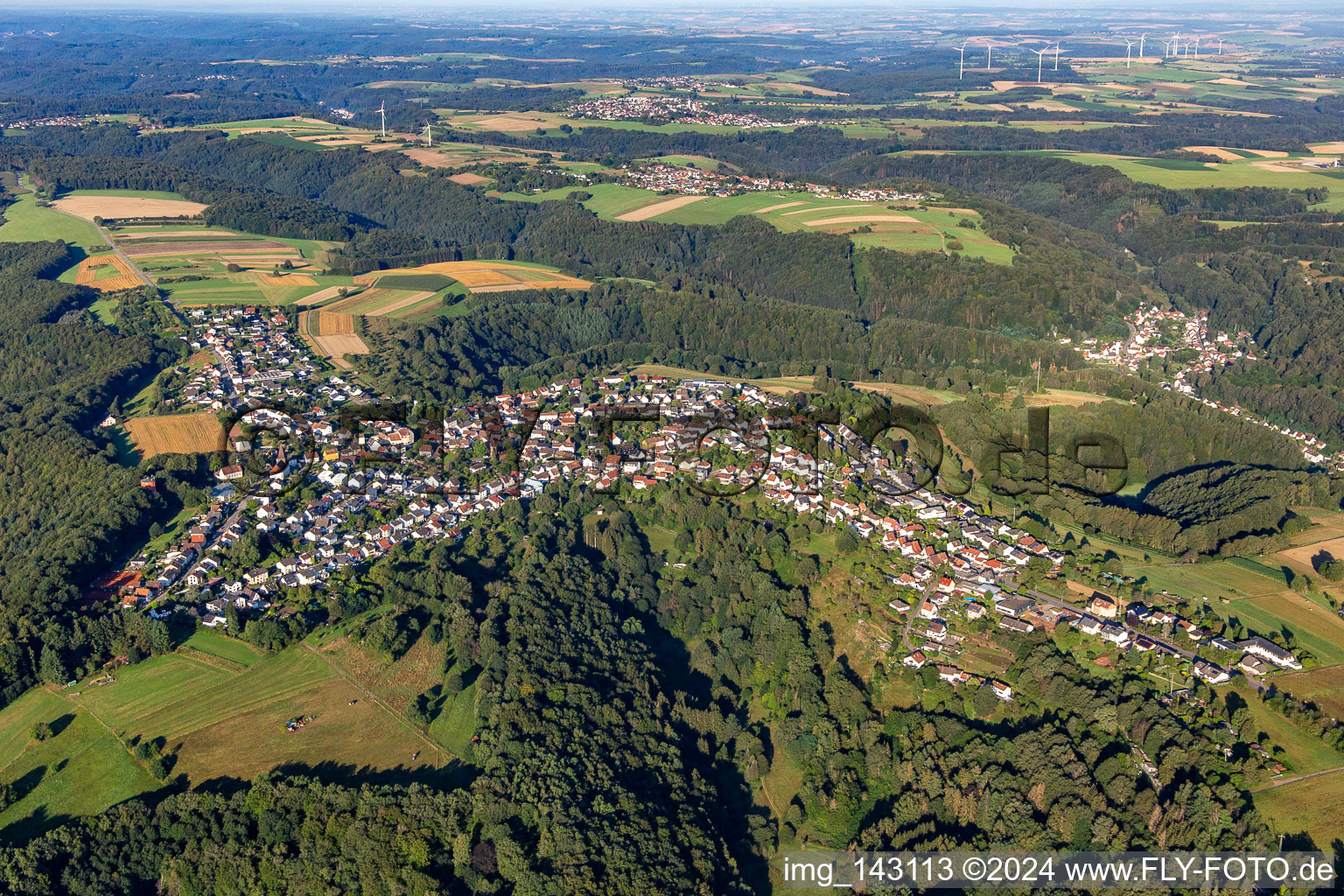 Luftbild von Erlenbrunn von Nordosten in Pirmasens im Bundesland Rheinland-Pfalz, Deutschland