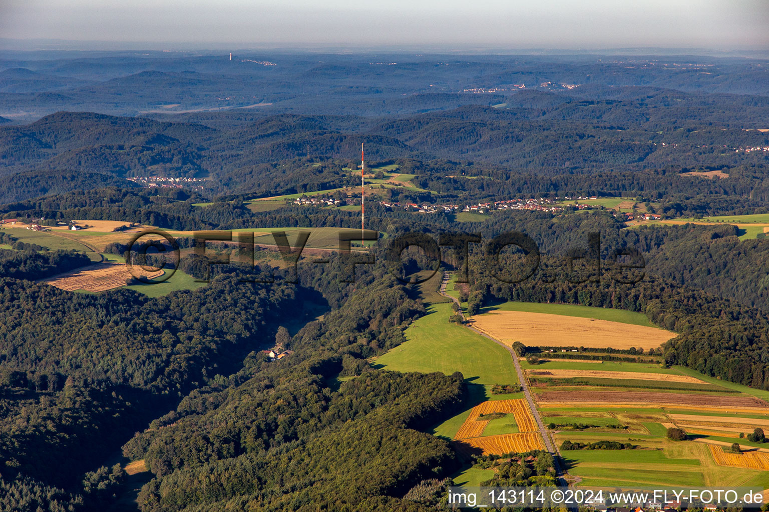 Mast des Sender Kettrichhof in Lemberg im Bundesland Rheinland-Pfalz, Deutschland