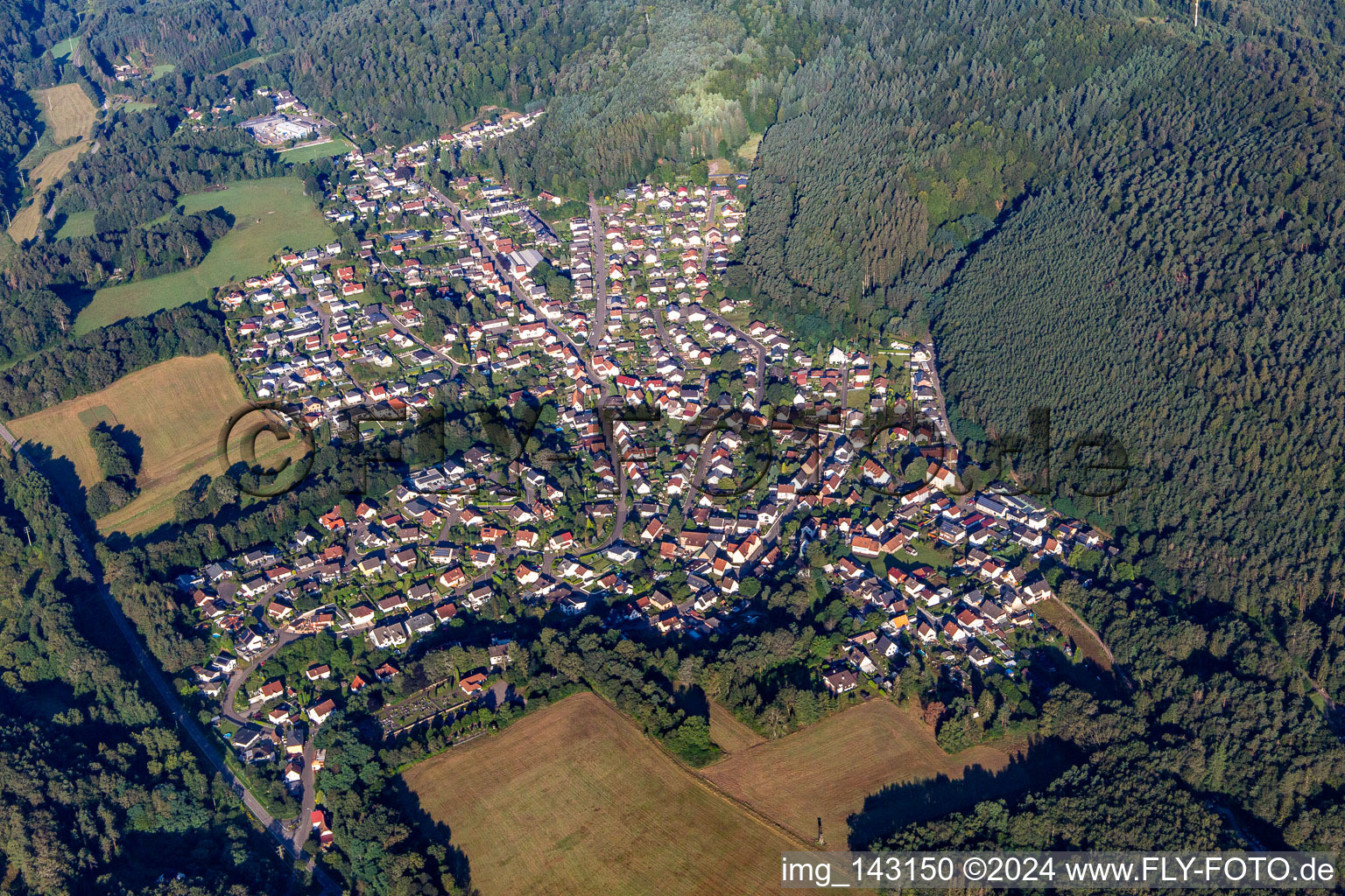 Ruppertsweiler im Bundesland Rheinland-Pfalz, Deutschland von oben gesehen