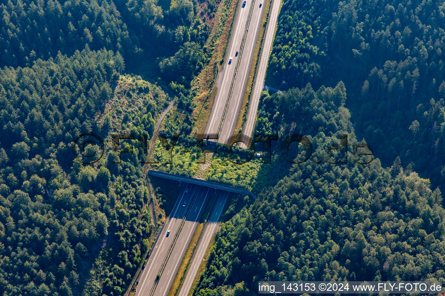 Luftbild von Grünbrücke Walmersbach für Wildtiere über die B10 in Ruppertsweiler im Bundesland Rheinland-Pfalz, Deutschland