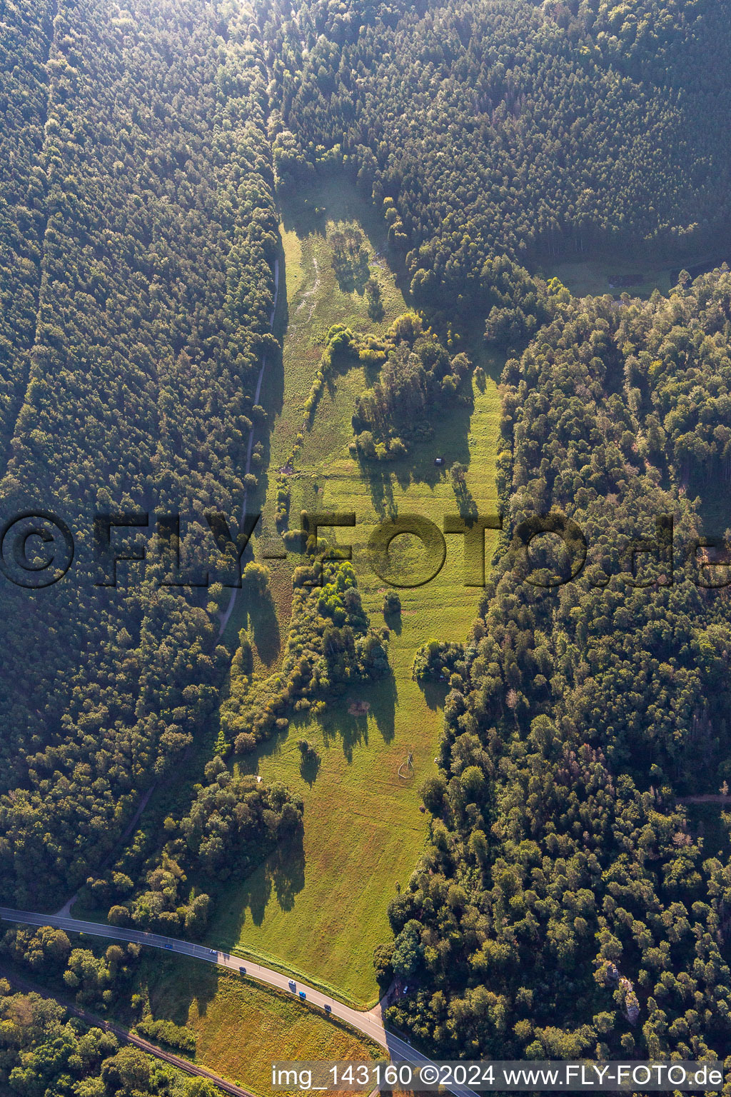 Lichtung im Seebachtal in Hinterweidenthal im Bundesland Rheinland-Pfalz, Deutschland