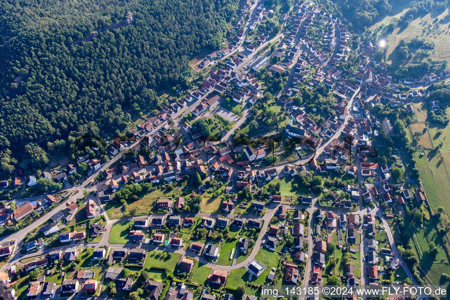 Busenberg im Bundesland Rheinland-Pfalz, Deutschland von der Drohne aus gesehen