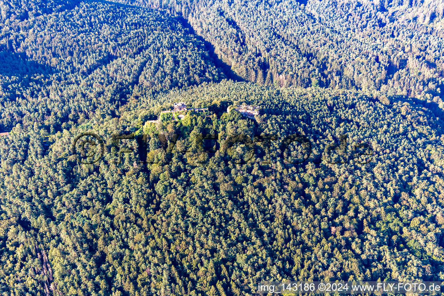 Runie der Burg Drachenfels in Busenberg im Bundesland Rheinland-Pfalz, Deutschland