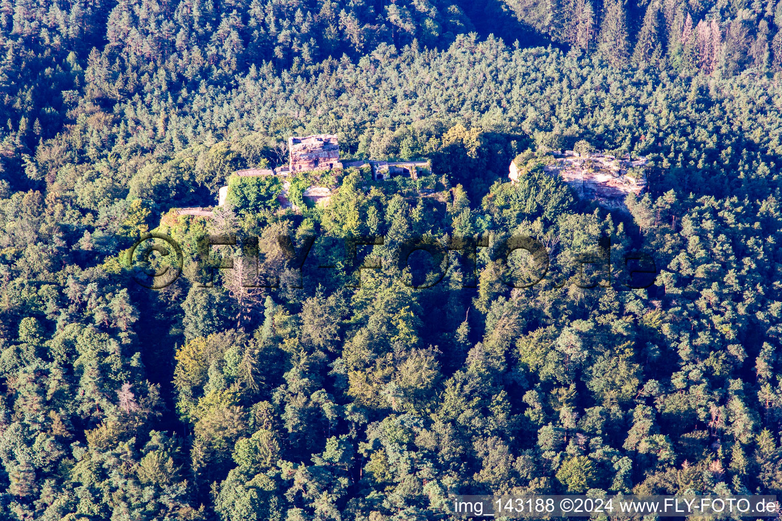 Luftbild von Runie der Burg Drachenfels in Busenberg im Bundesland Rheinland-Pfalz, Deutschland