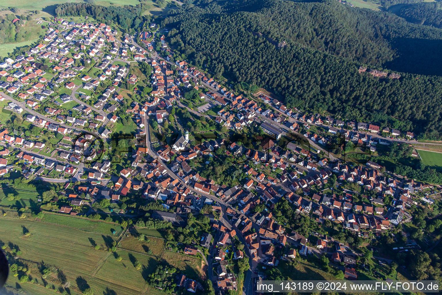 Busenberg von Südosten im Bundesland Rheinland-Pfalz, Deutschland