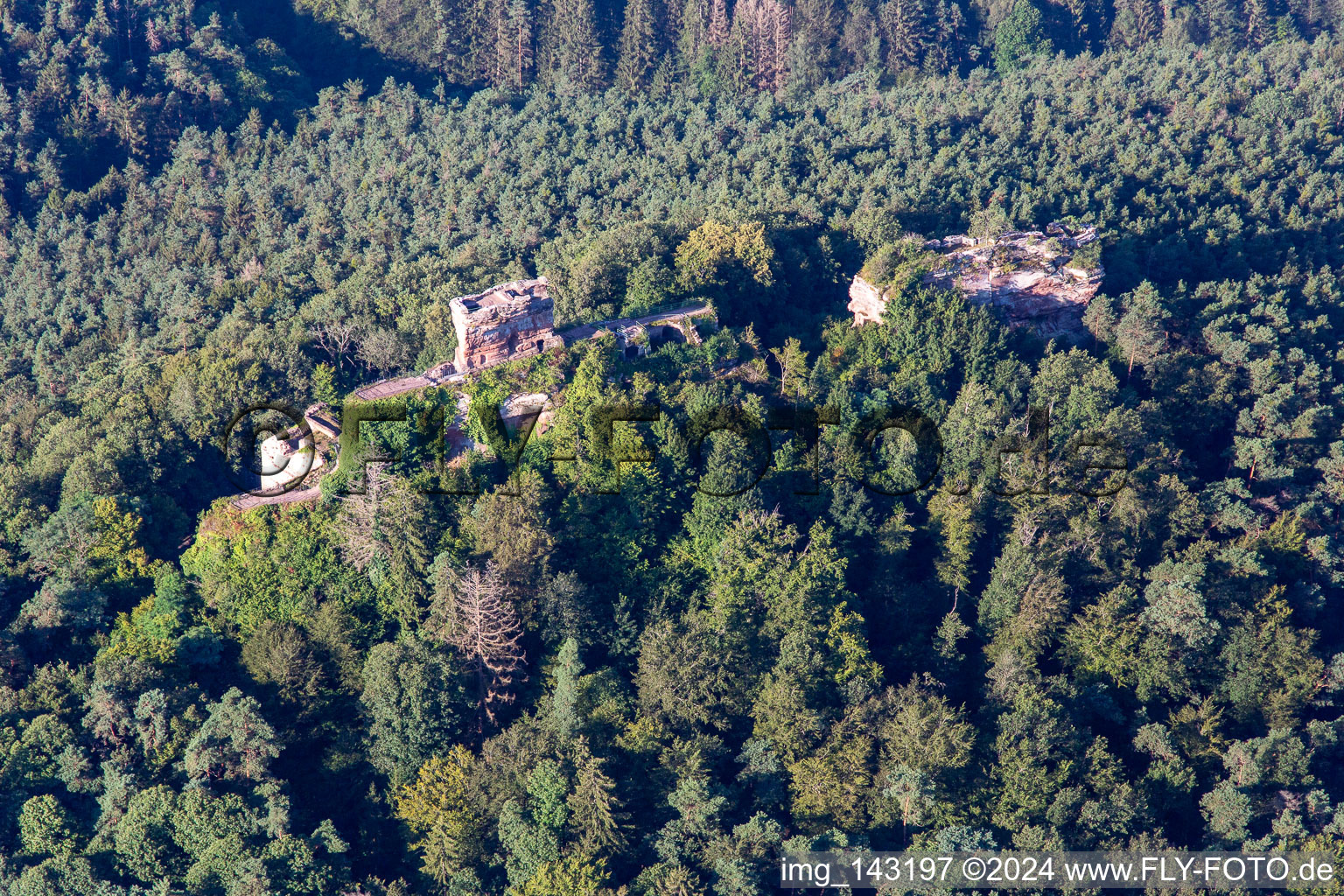 Runie der Burg Drachenfels in Busenberg im Bundesland Rheinland-Pfalz, Deutschland von oben