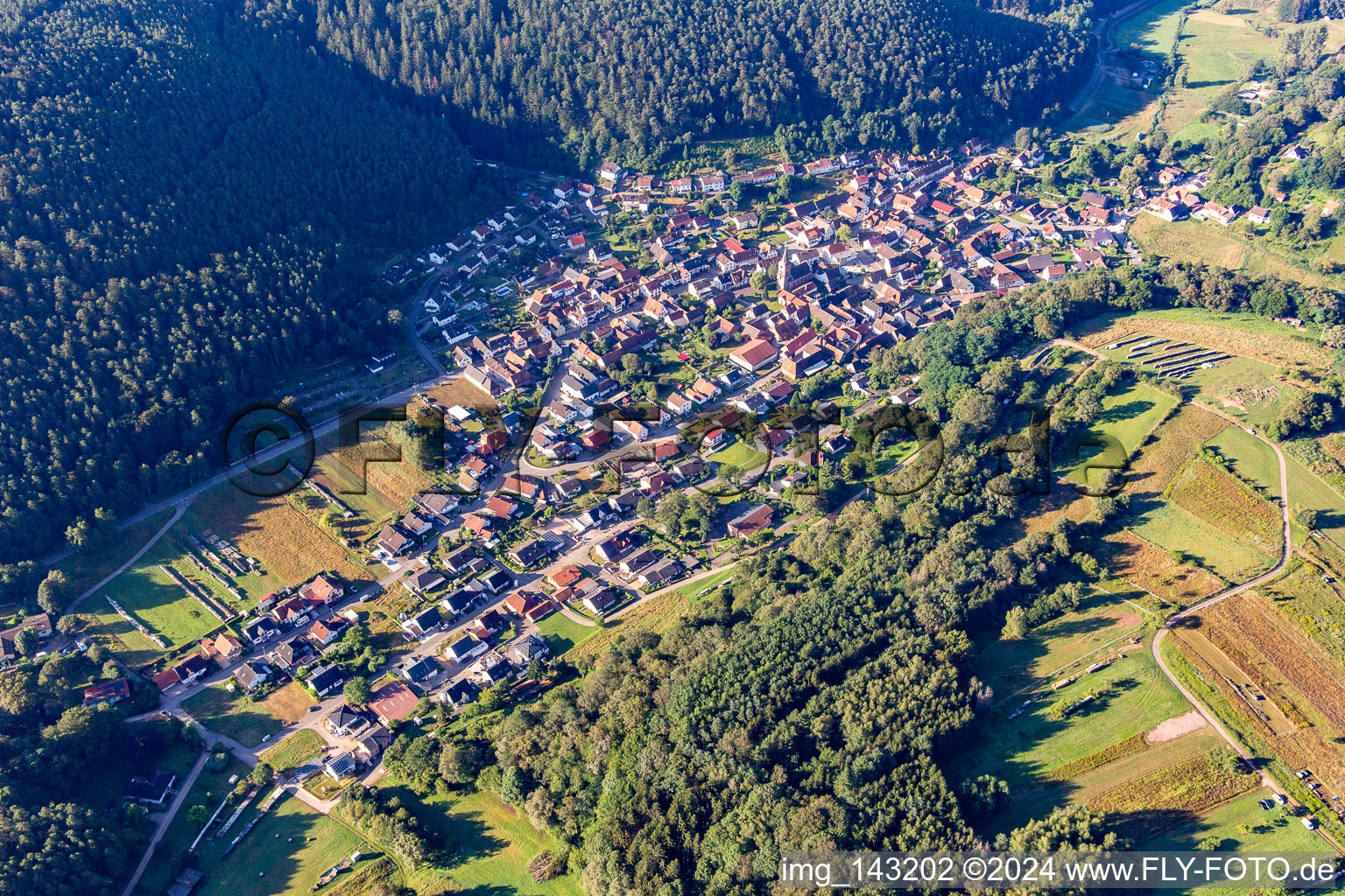 Vorderweidenthal im Bundesland Rheinland-Pfalz, Deutschland von oben