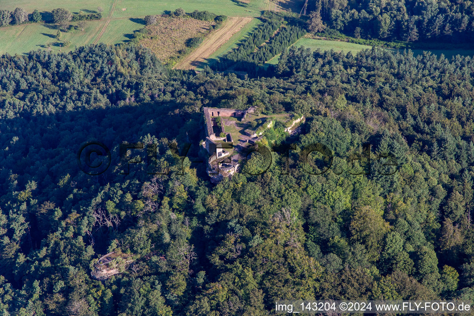 Burgruine Lindelbrunn in Vorderweidenthal im Bundesland Rheinland-Pfalz, Deutschland von oben gesehen