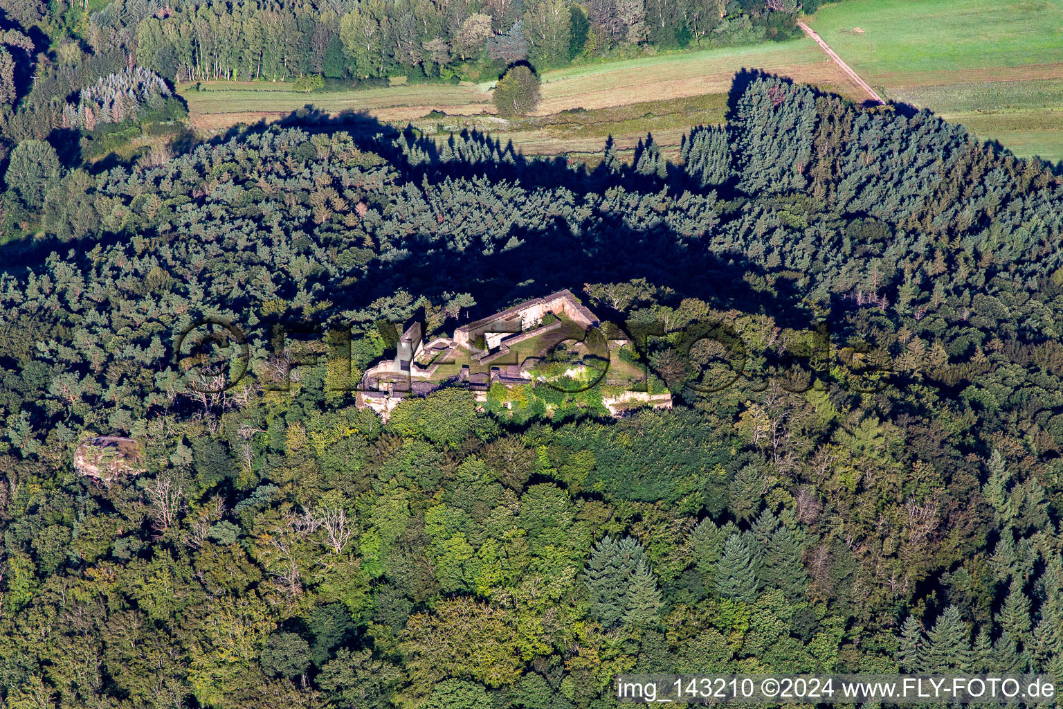 Burgruine Lindelbrunn im Ortsteil Gossersweiler in Gossersweiler-Stein im Bundesland Rheinland-Pfalz, Deutschland