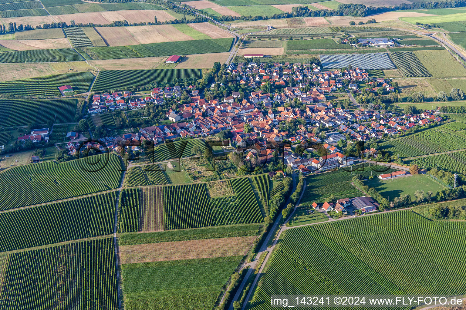 Ortschaft von Süden in Impflingen im Bundesland Rheinland-Pfalz, Deutschland