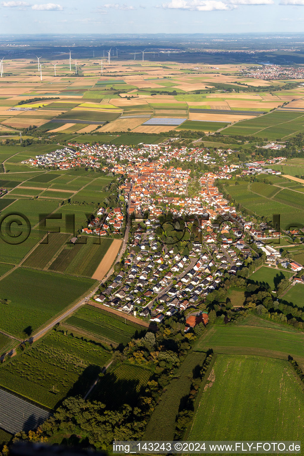 Ortschaft von Westen in Insheim im Bundesland Rheinland-Pfalz, Deutschland