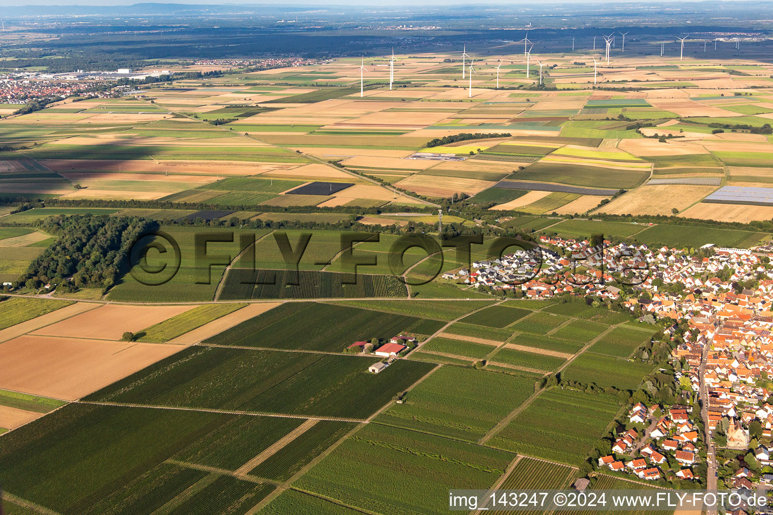 Insheim im Bundesland Rheinland-Pfalz, Deutschland aus der Drohnenperspektive