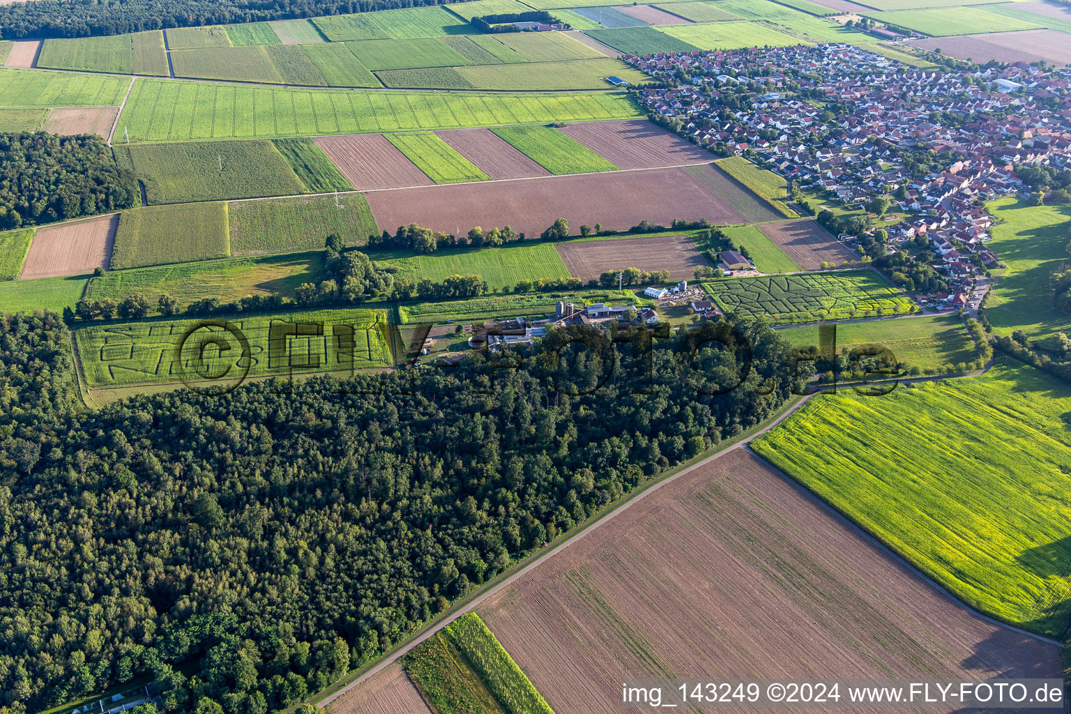 Maislabyrinth, Hochzeitslocation und Beachlounge in Steinweiler Seehof im Bundesland Rheinland-Pfalz, Deutschland