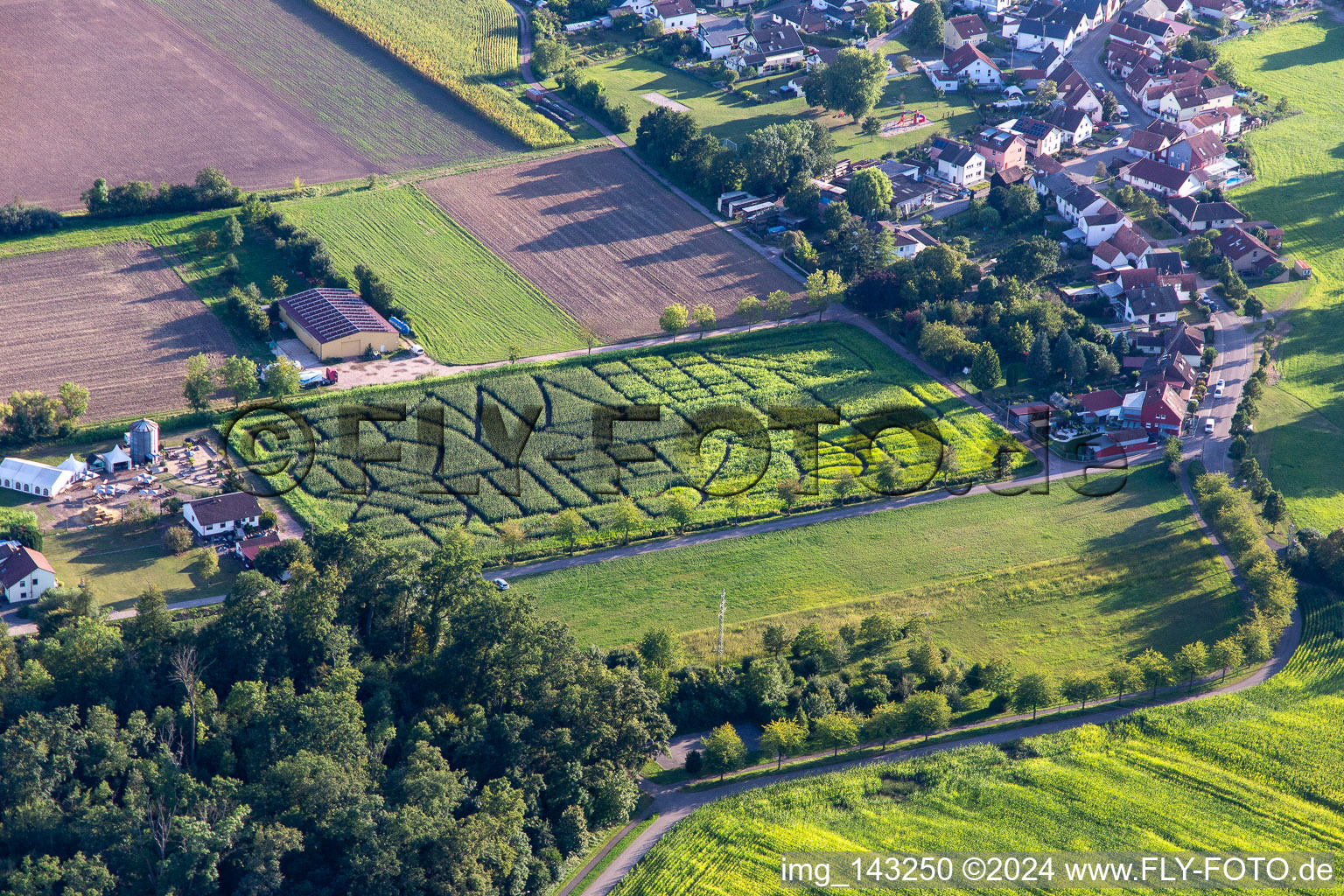 Luftbild von Maislabyrinth, Hochzeitslocation und Beachlounge in Steinweiler Seehof im Bundesland Rheinland-Pfalz, Deutschland