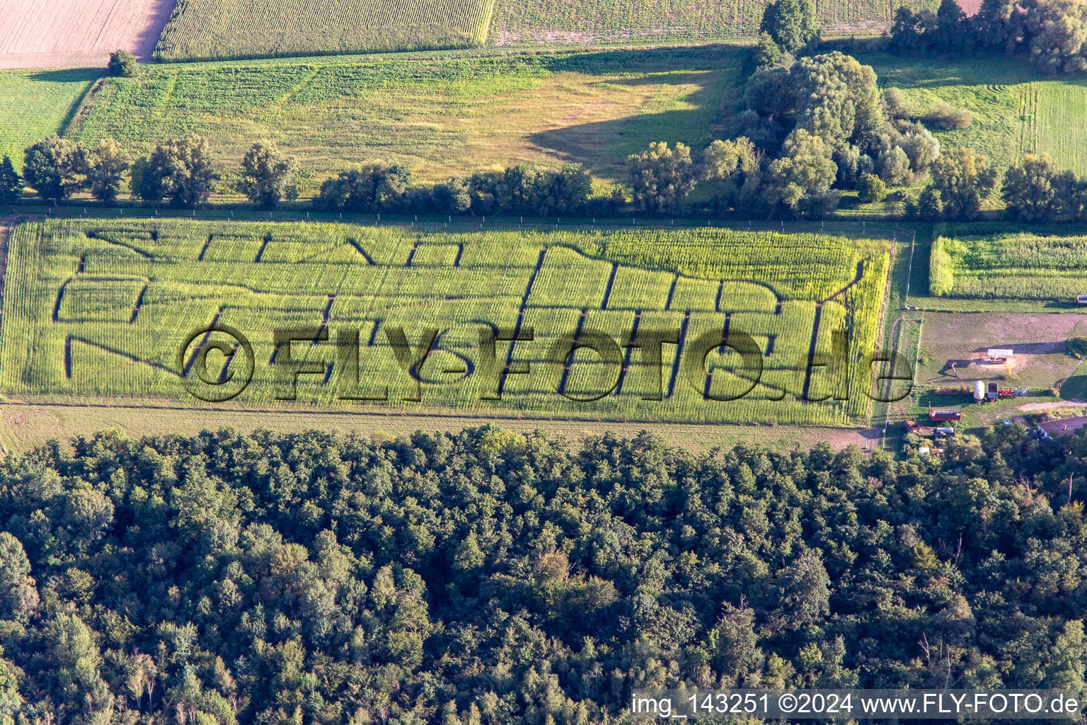 Luftaufnahme von Maislabyrinth, Hochzeitslocation und Beachlounge in Steinweiler Seehof im Bundesland Rheinland-Pfalz, Deutschland