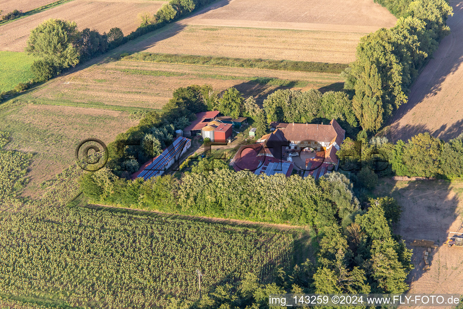 Luftbild von Leistenmühle am Erlenbach in Kandel im Bundesland Rheinland-Pfalz, Deutschland