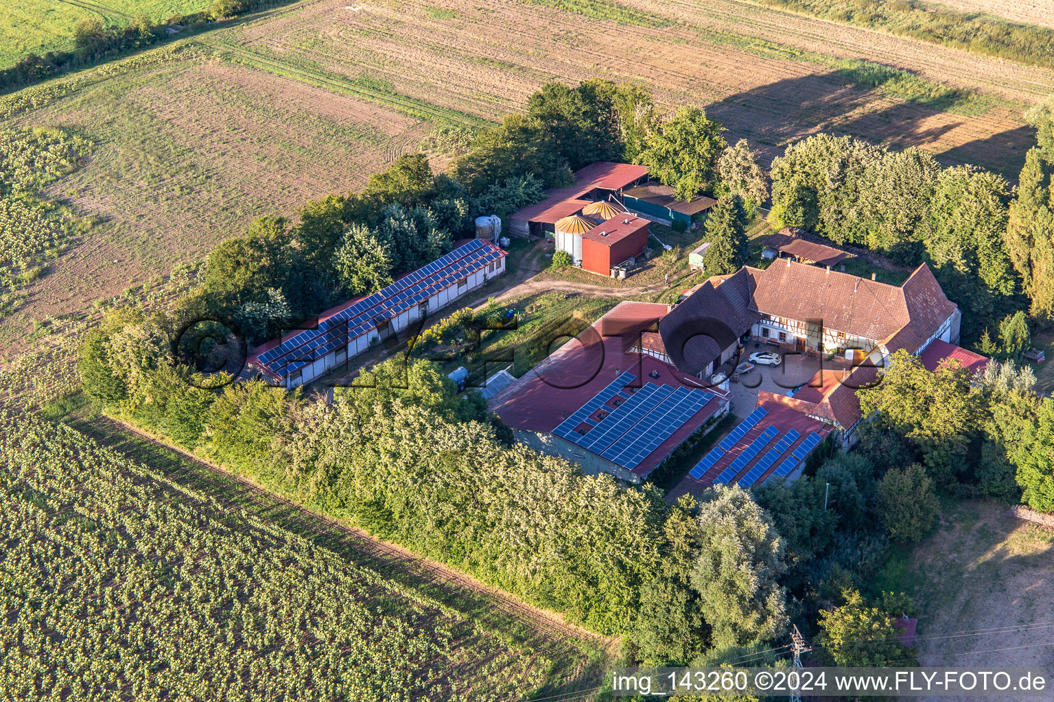 Luftaufnahme von Leistenmühle am Erlenbach in Kandel im Bundesland Rheinland-Pfalz, Deutschland