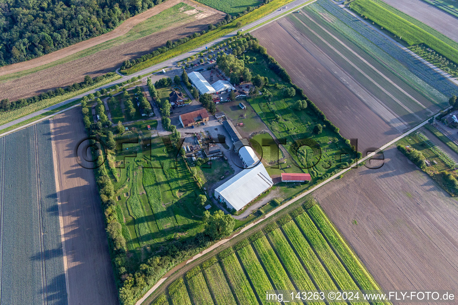 Luftaufnahme von Fußgolfpark Südpfalz am Adamshof in Kandel im Bundesland Rheinland-Pfalz, Deutschland