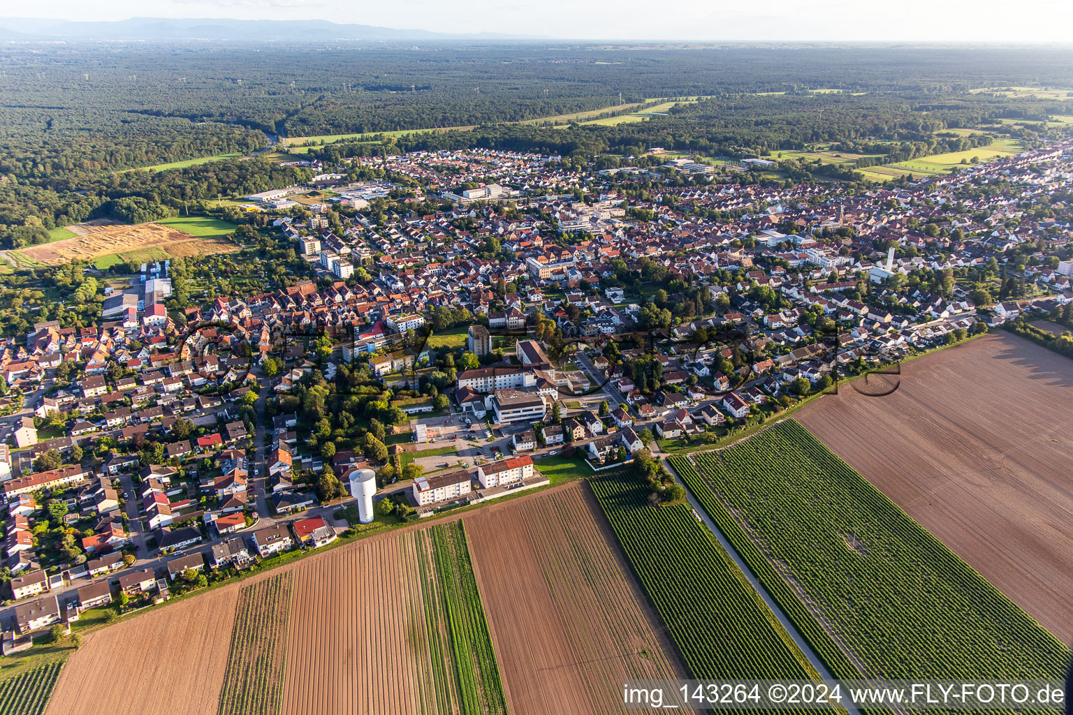 Stadt von Norden mit Krankenhaus   Asklepios Südpfalzkliniken in Kandel im Bundesland Rheinland-Pfalz, Deutschland