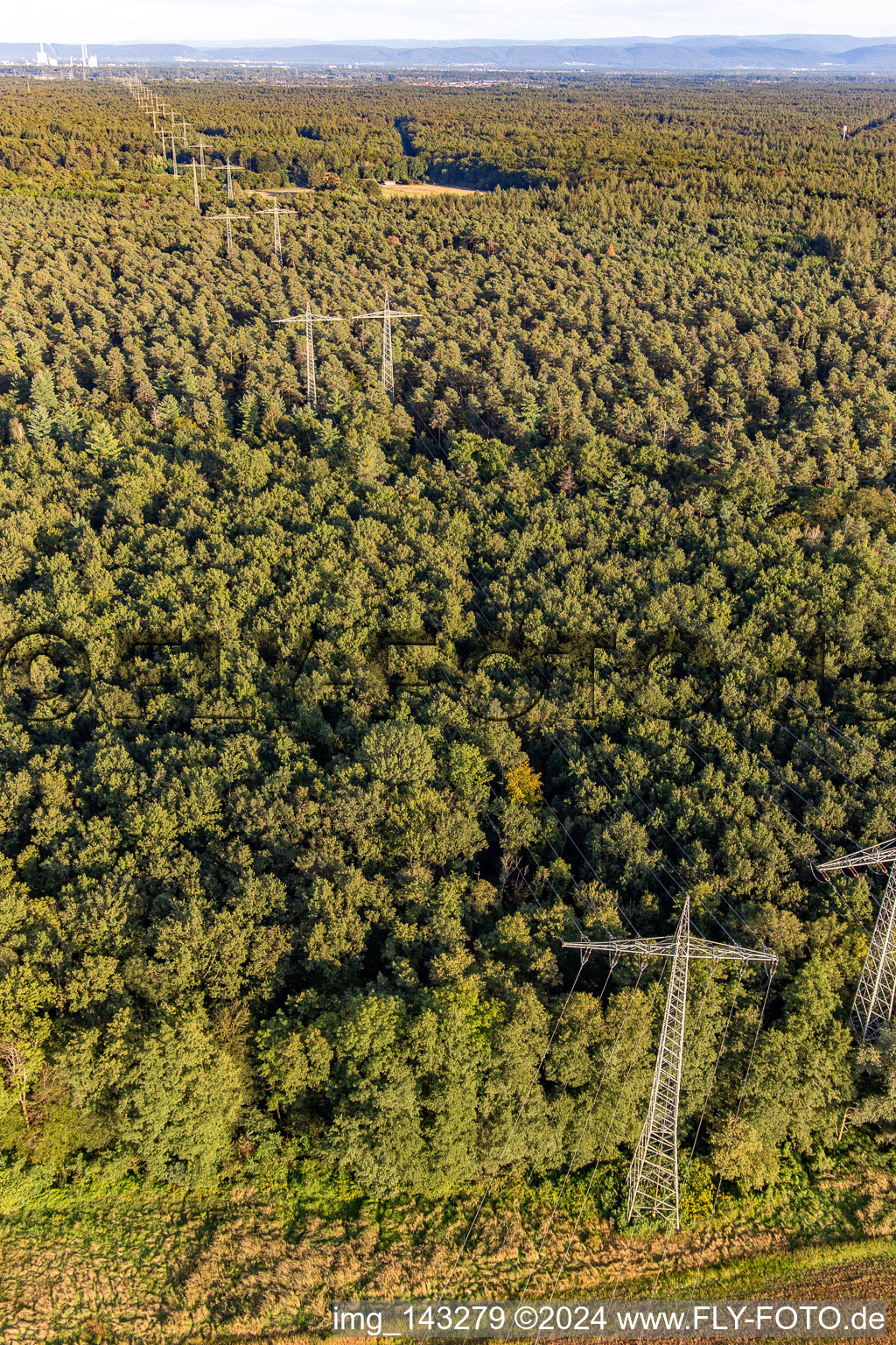 Wörth am Rhein im Bundesland Rheinland-Pfalz, Deutschland von der Drohne aus gesehen