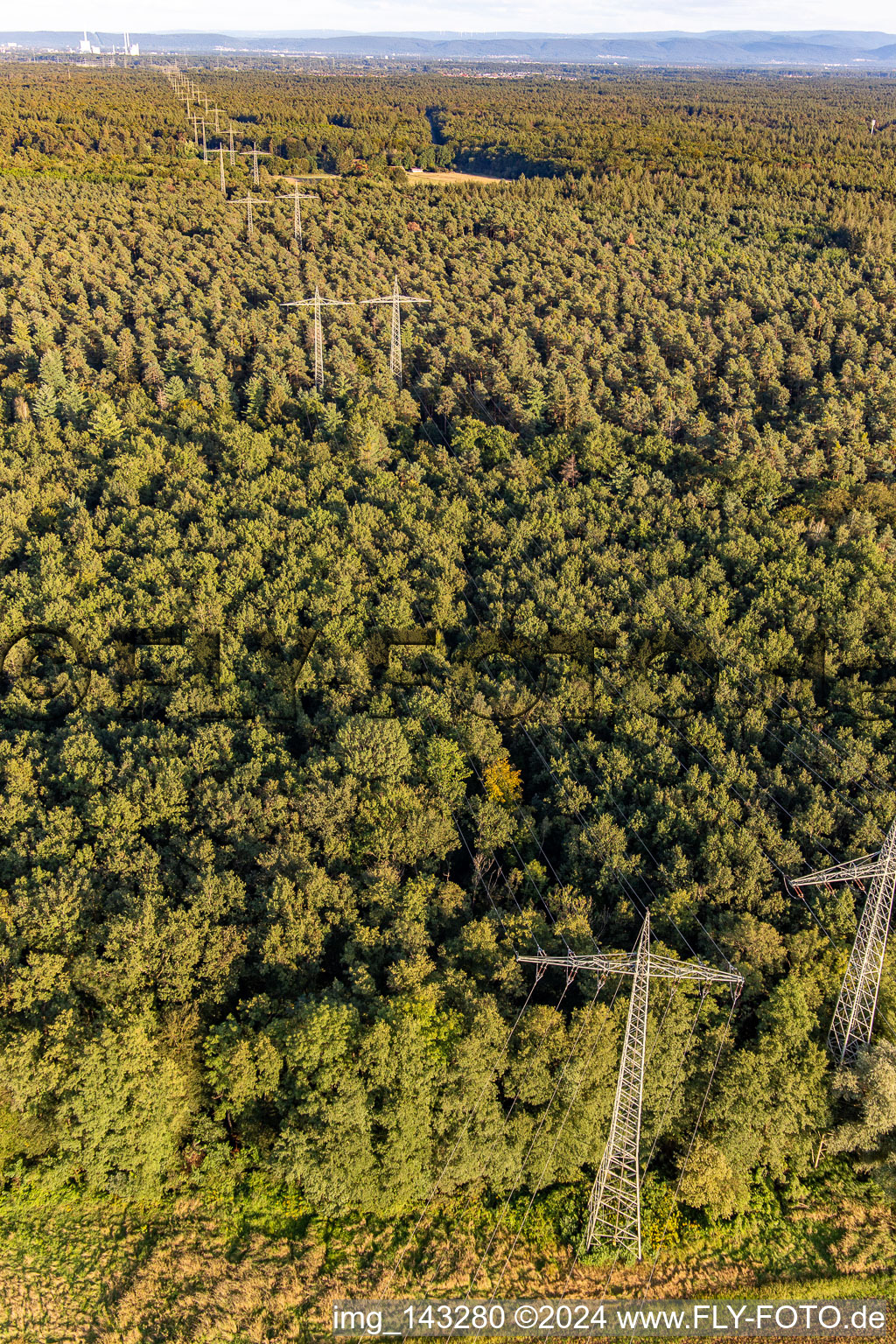 Zwei parallele Hochspannungsleitungen über dem Bienwald in Wörth am Rhein im Bundesland Rheinland-Pfalz, Deutschland