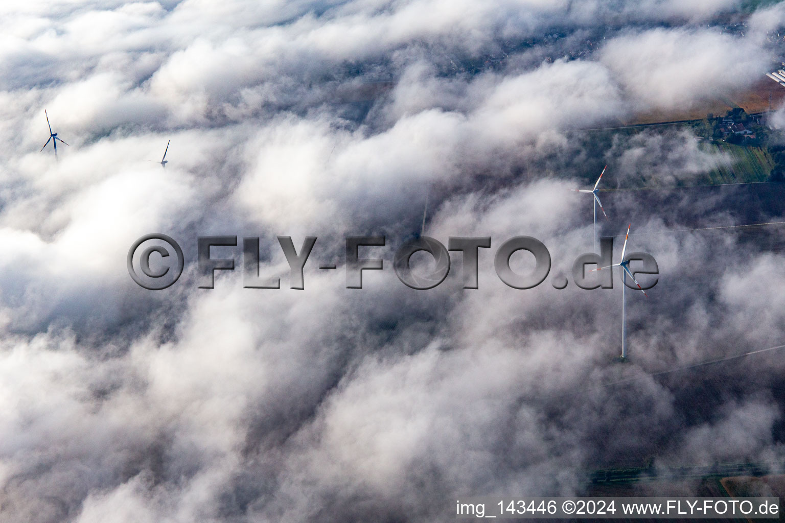 Luftbild von Windpark bei Minfeld teilweise in Wolken im Bundesland Rheinland-Pfalz, Deutschland