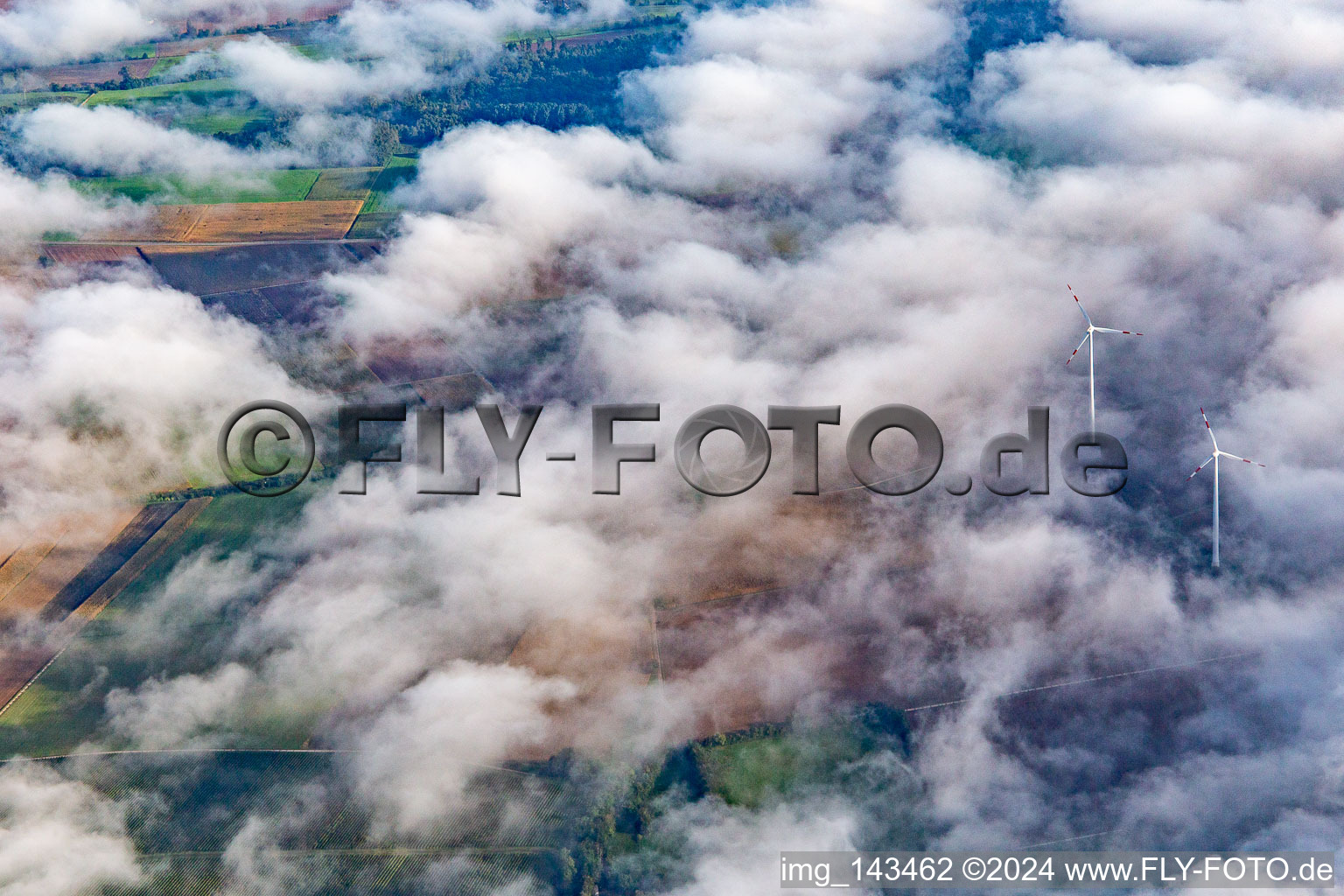 Schrägluftbild von Windpark bei Minfeld teilweise in Wolken im Bundesland Rheinland-Pfalz, Deutschland