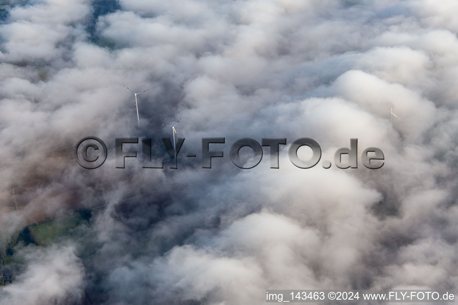 Windpark bei Minfeld teilweise in Wolken im Bundesland Rheinland-Pfalz, Deutschland von oben