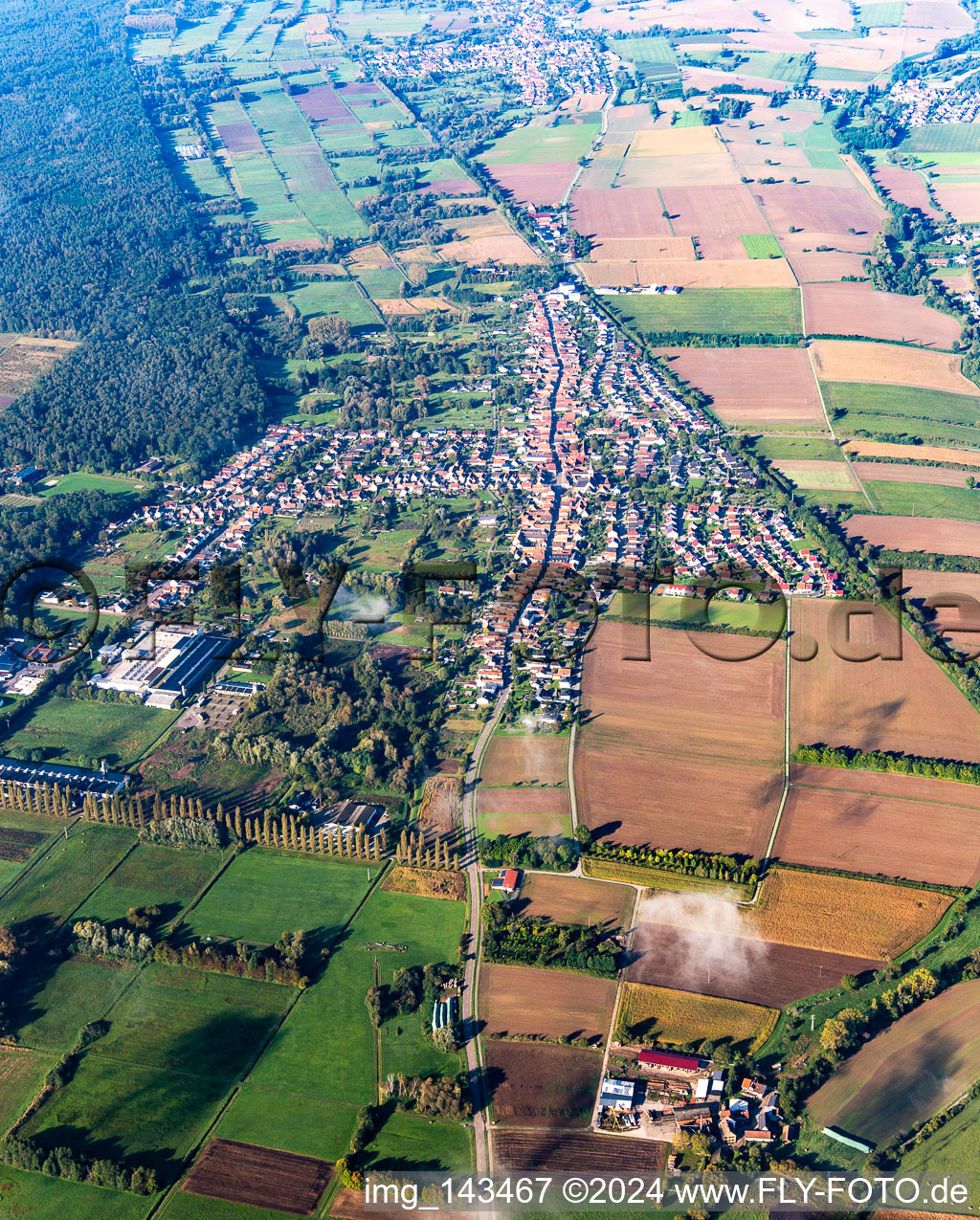 Schaidt von Osten in Wörth am Rhein im Bundesland Rheinland-Pfalz, Deutschland