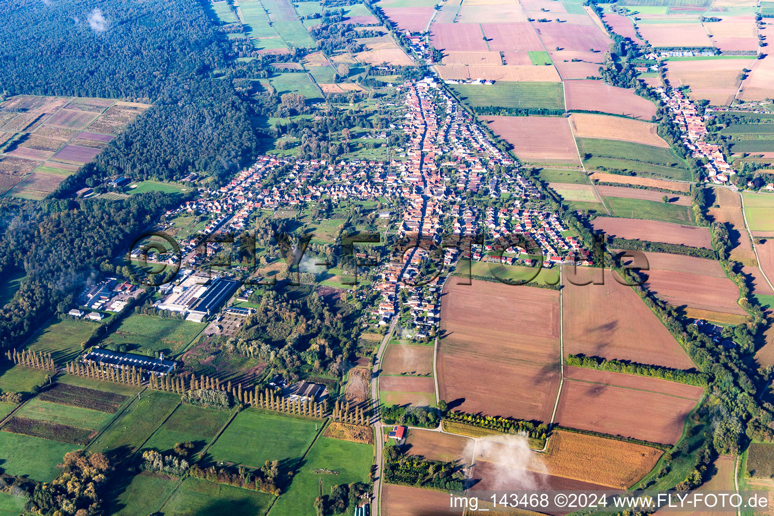 Luftbild von Schaidt von Osten in Wörth am Rhein im Bundesland Rheinland-Pfalz, Deutschland