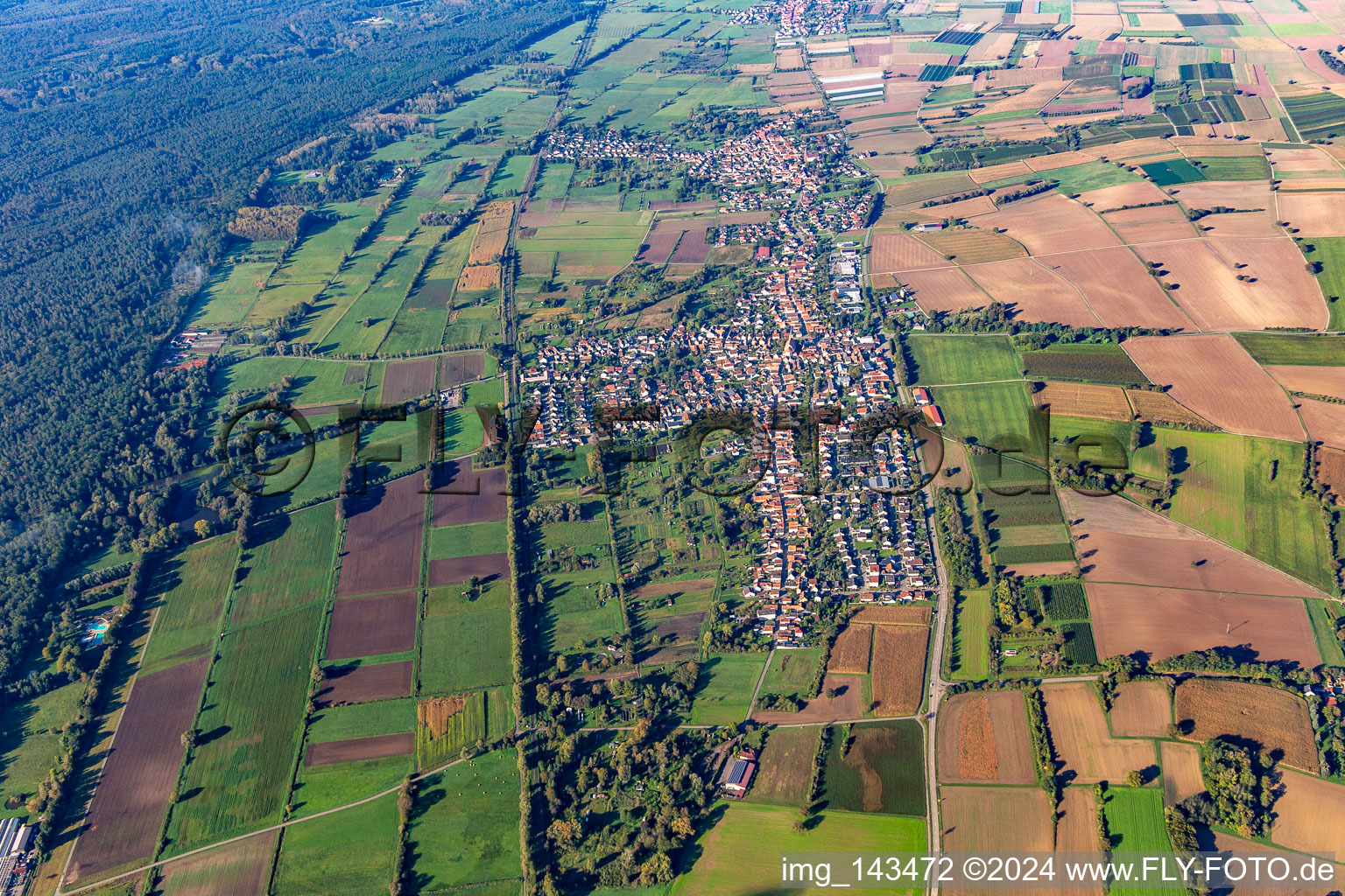 Steinfeld von Osten im Bundesland Rheinland-Pfalz, Deutschland