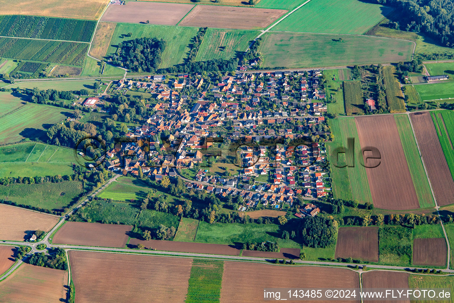 Barbelroth im Bundesland Rheinland-Pfalz, Deutschland von oben