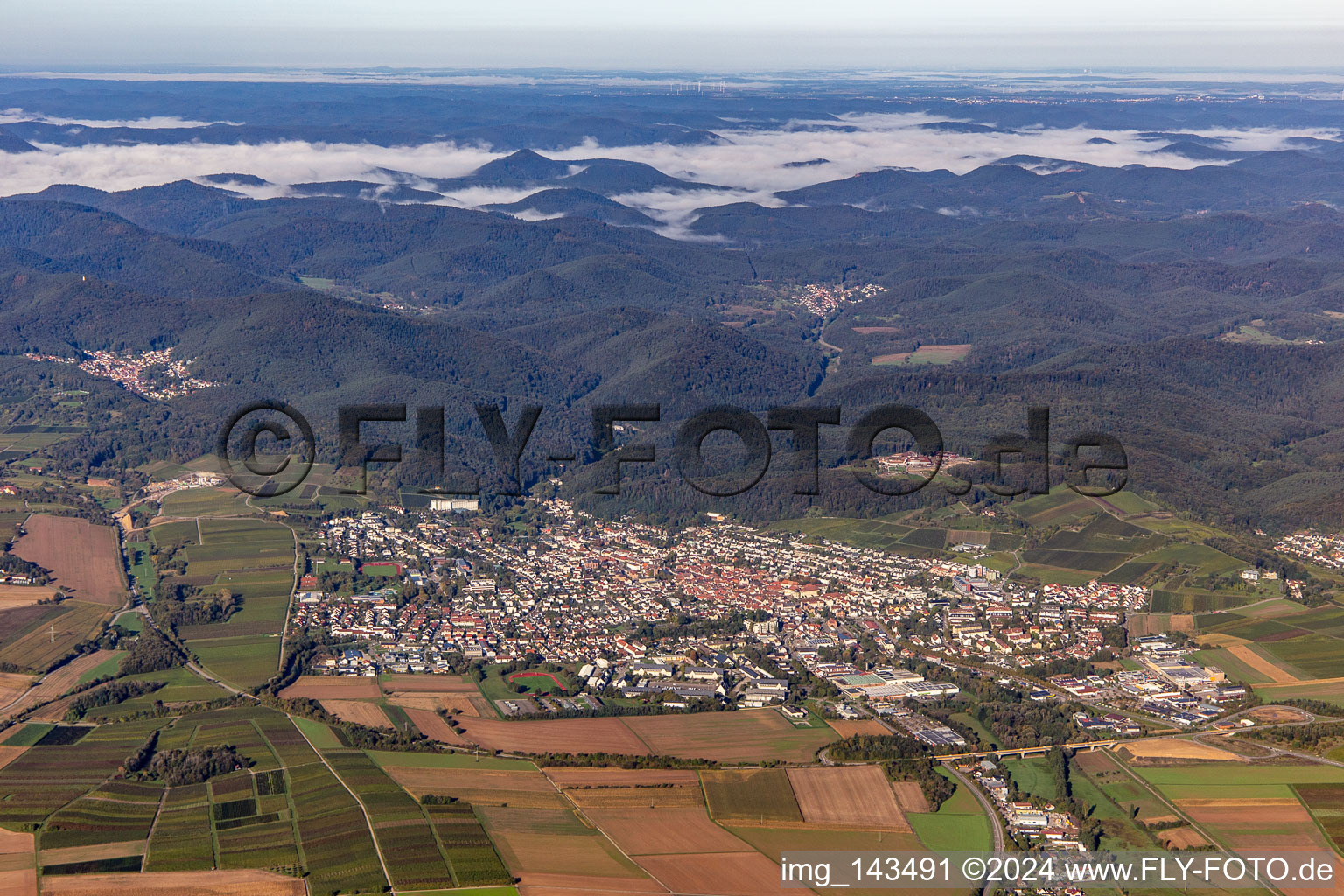 Stadt von Osten in Bad Bergzabern im Bundesland Rheinland-Pfalz, Deutschland