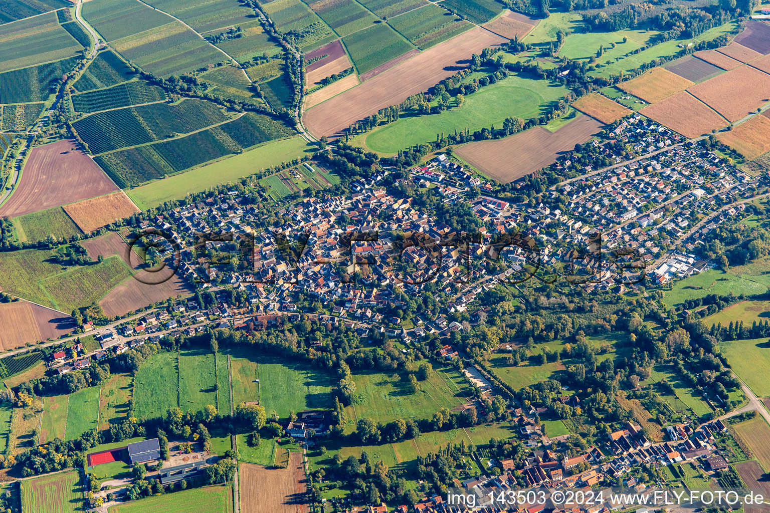 Schrägluftbild von Ortsteil Billigheim in Billigheim-Ingenheim im Bundesland Rheinland-Pfalz, Deutschland