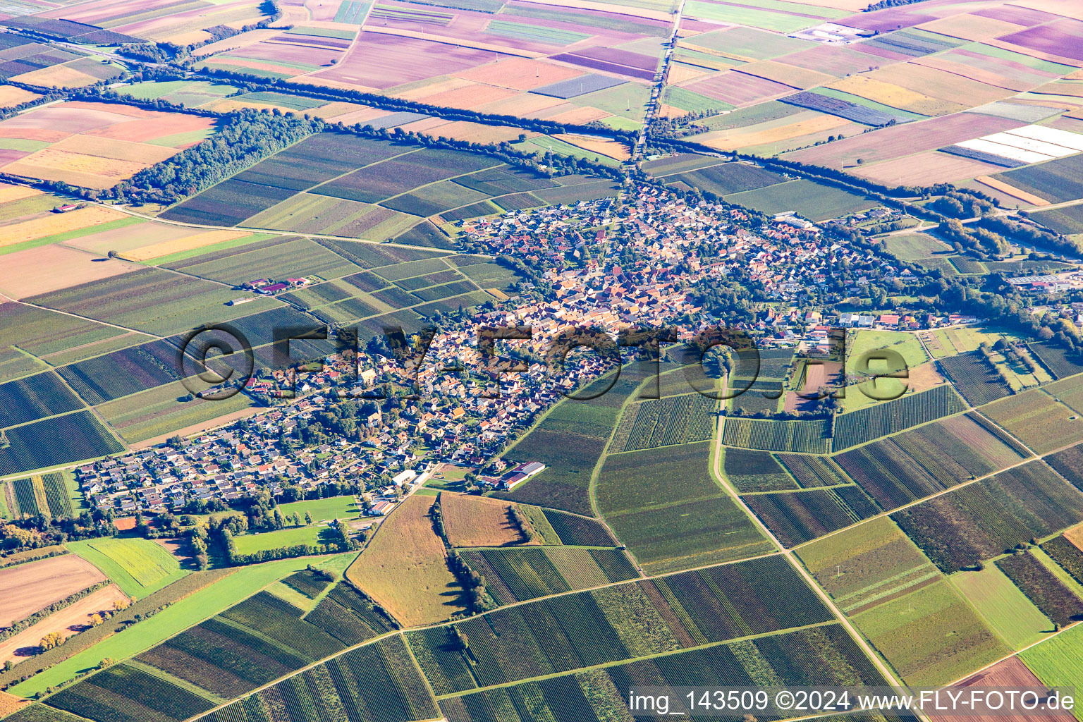 Ortschaft von Südwesten in Insheim im Bundesland Rheinland-Pfalz, Deutschland