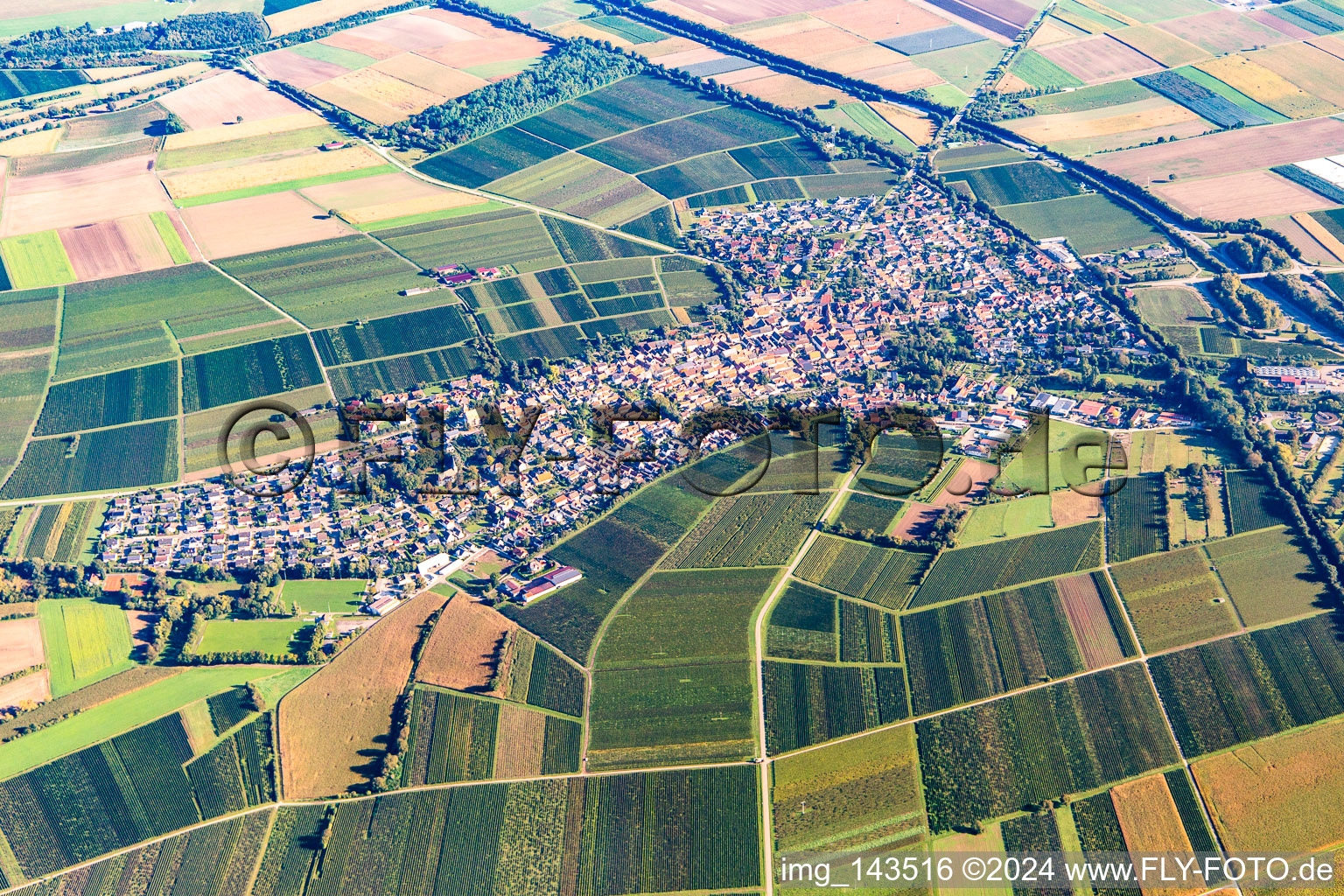 Luftbild von Ortschaft von Südwesten in Insheim im Bundesland Rheinland-Pfalz, Deutschland