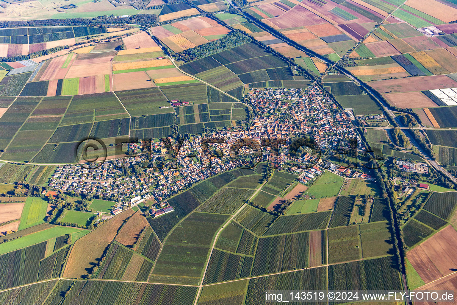 Ortschaft von Süden in Insheim im Bundesland Rheinland-Pfalz, Deutschland