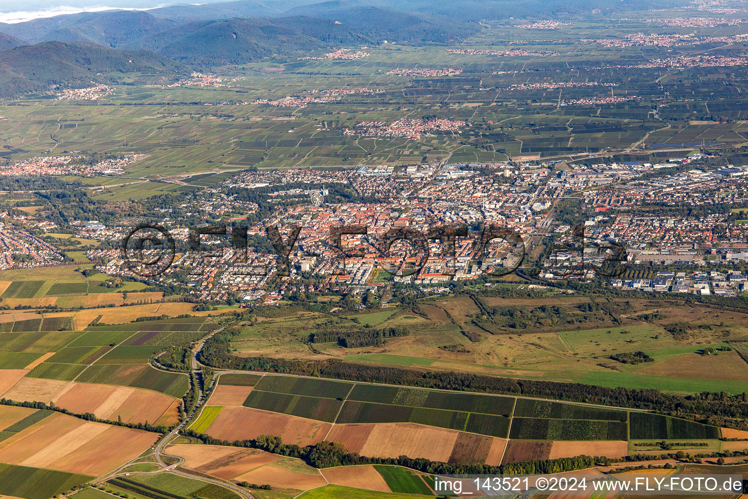 Stadt von Süden in Landau in der Pfalz im Bundesland Rheinland-Pfalz, Deutschland